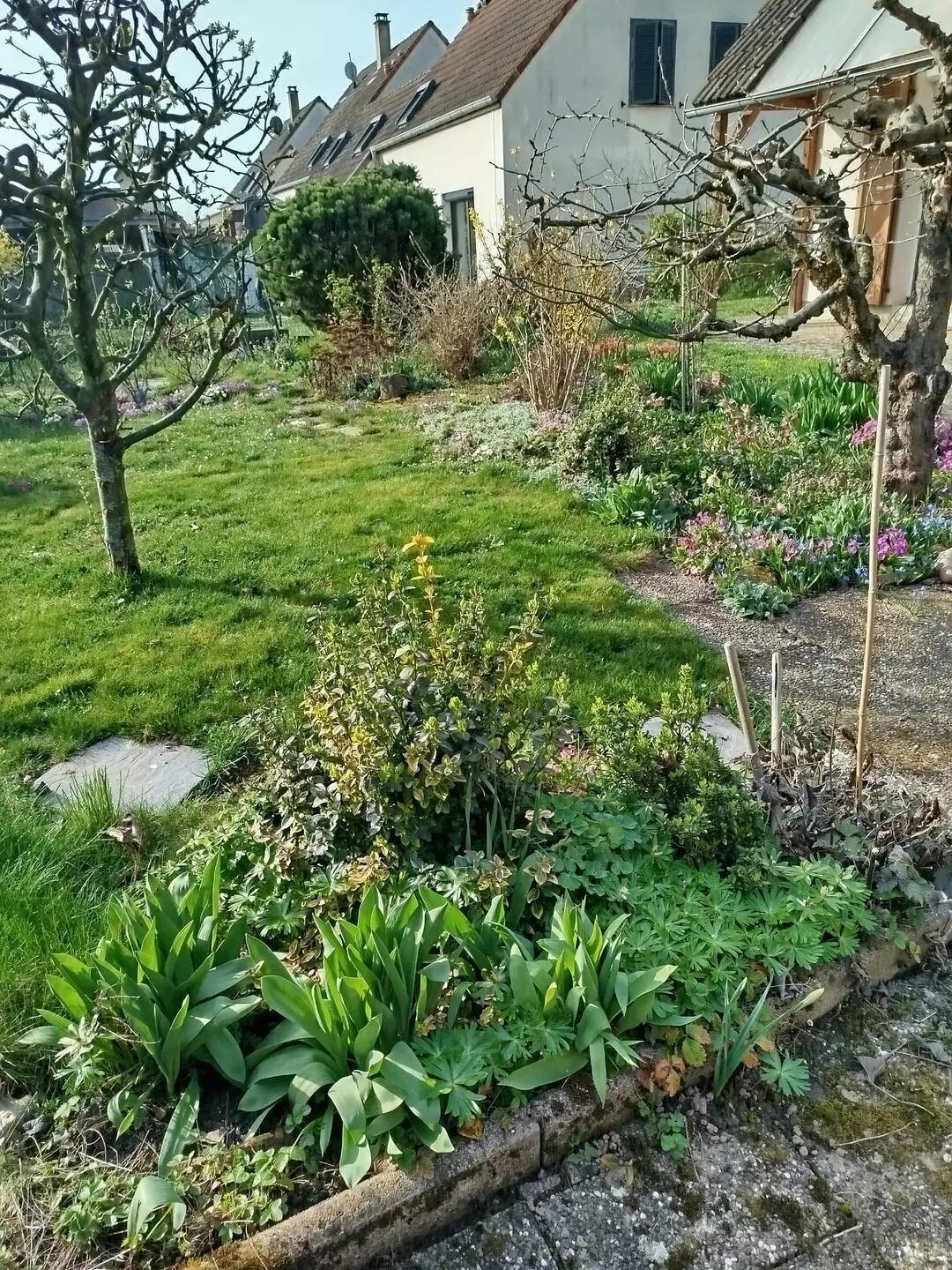 Maison à vendre, 105m², Ammerschwihr