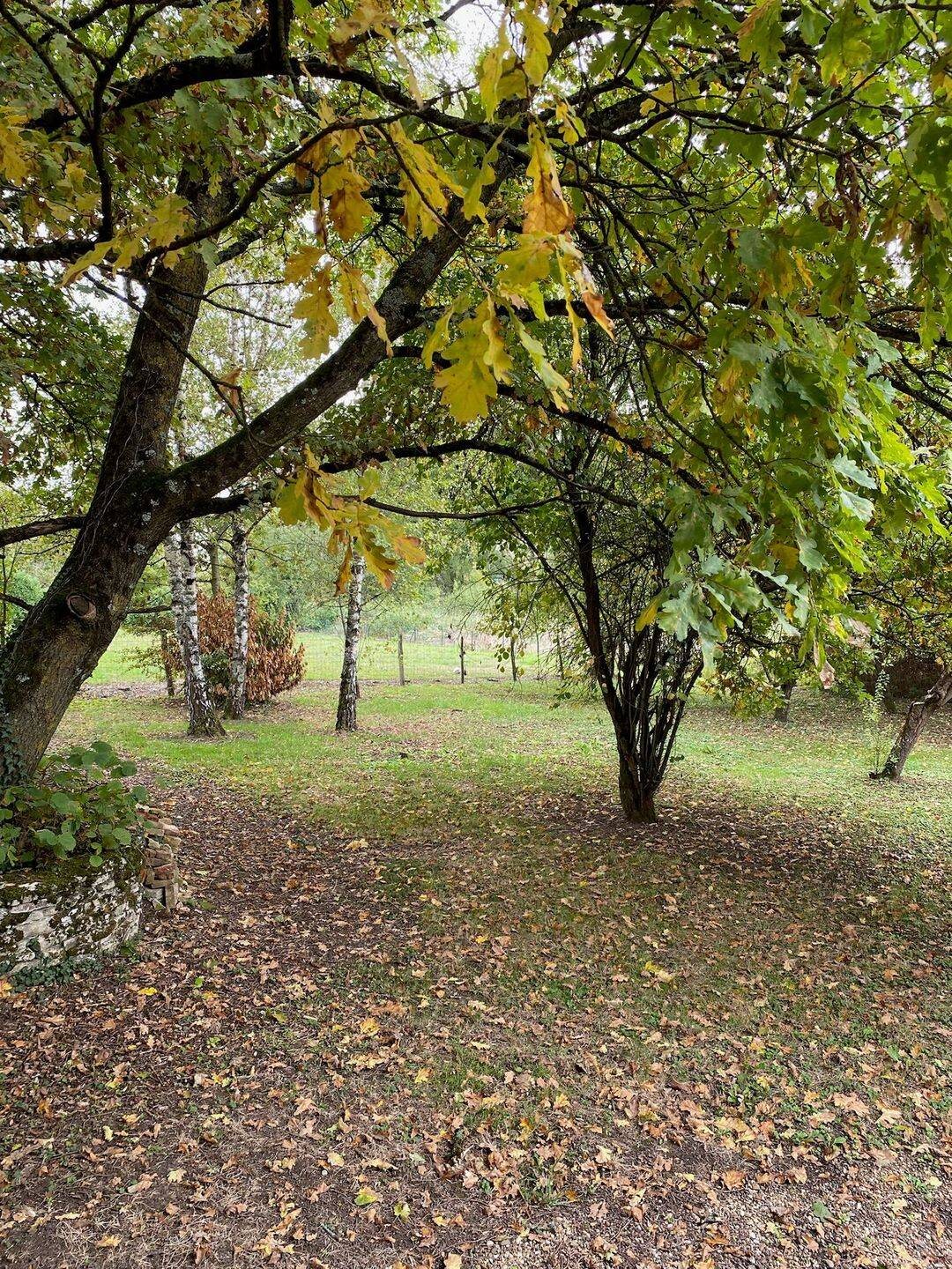 Maison à louer, 200m², Frontenard