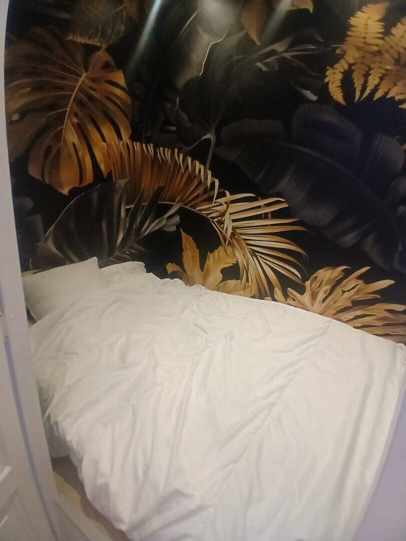 Appartement à louer, 26m², Lyon 8ème