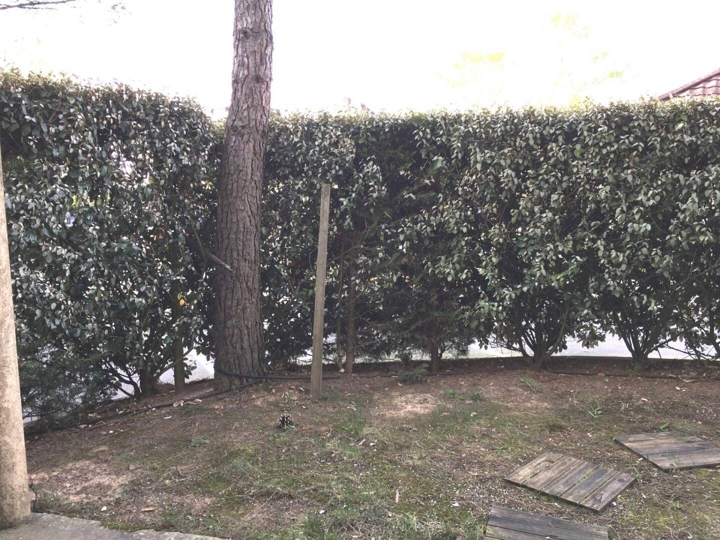 Appartement à louer, 40m², Malemort-sur-Corrèze