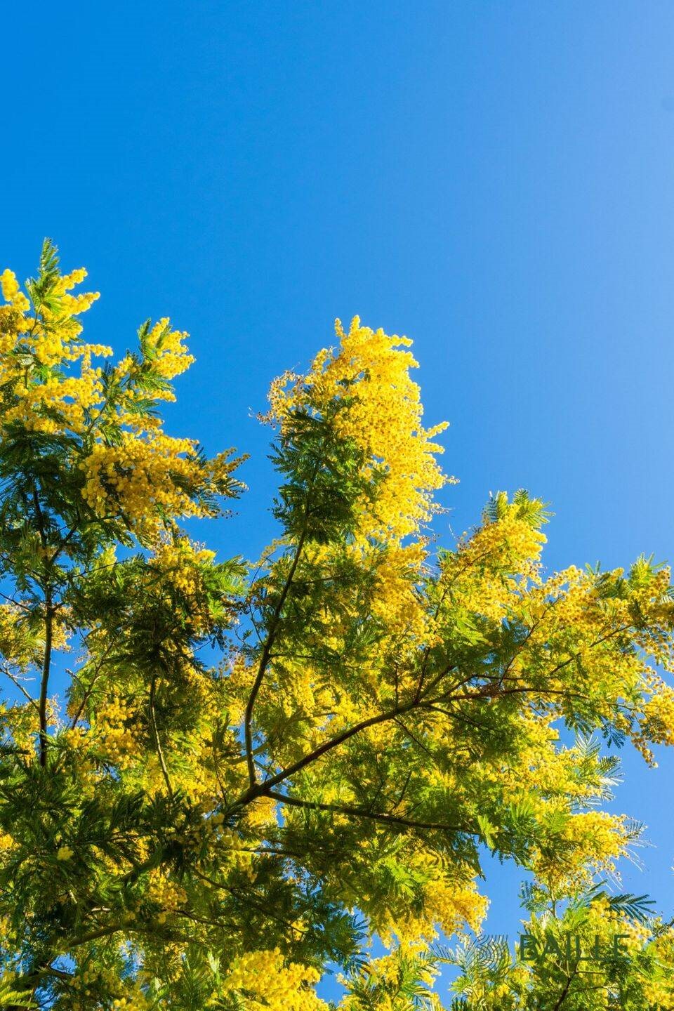 Maison à vendre, 155m², Marseille 9ème