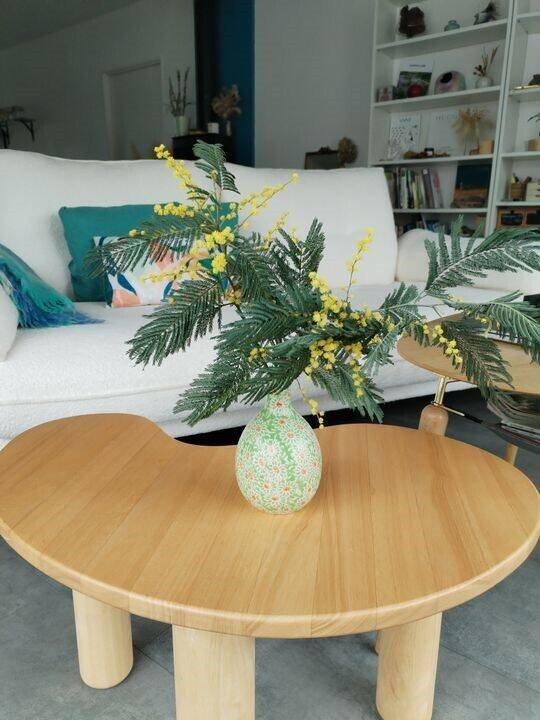 Appartement à louer, 10m², Tarnos