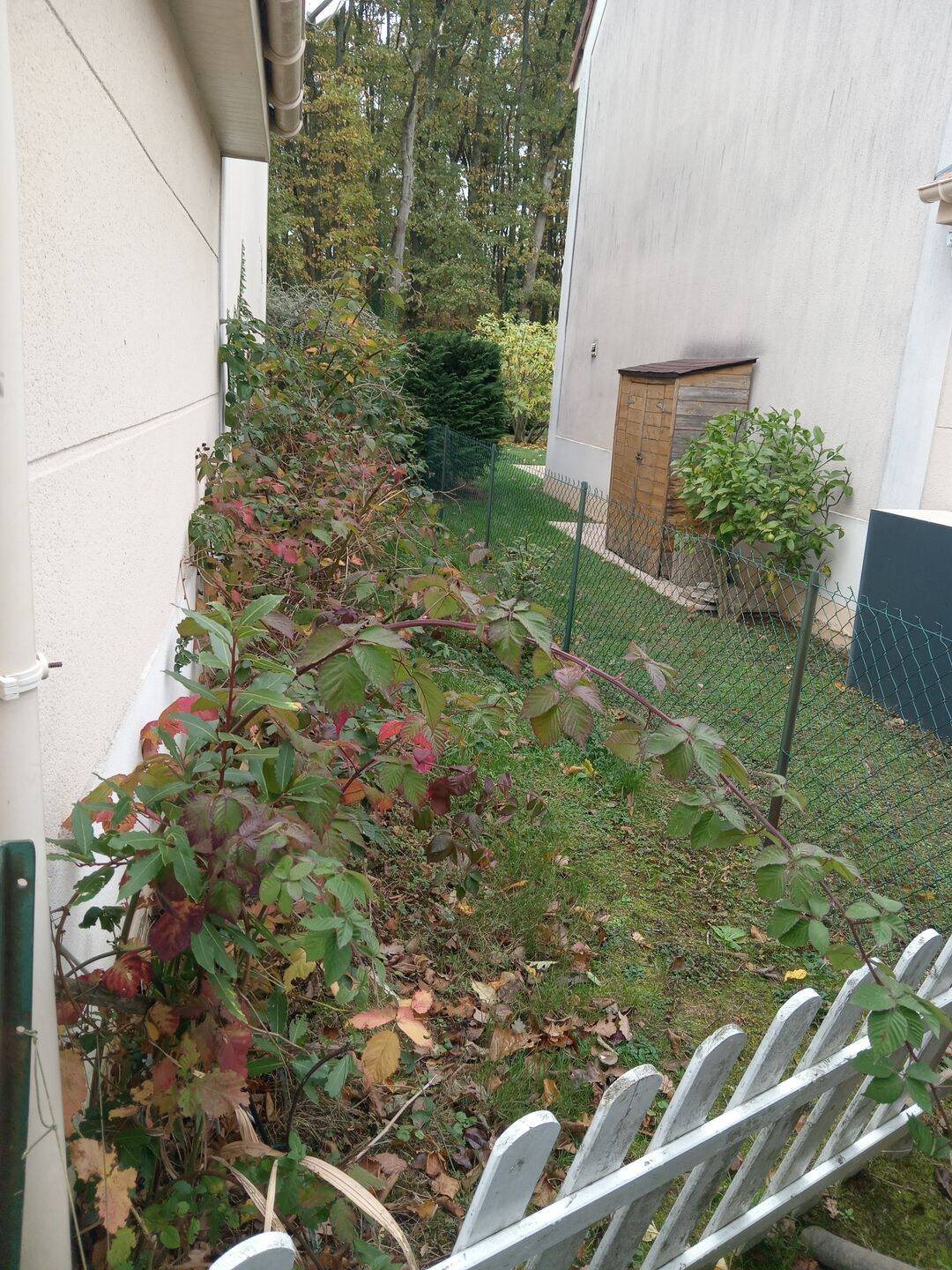 Maison à louer, 110m², Sainte-Geneviève-des-Bois