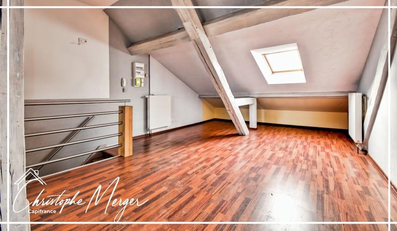 Appartement à louer, 49m², Sarrebourg