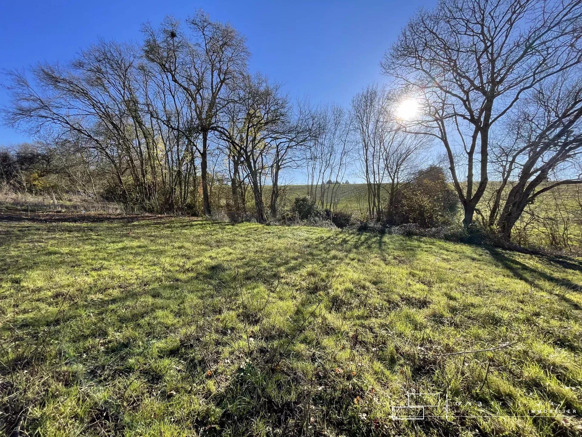 Terrain Lot 5