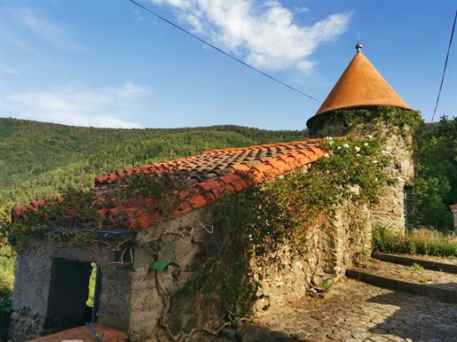 Atypical property of more than 7ha, South of France