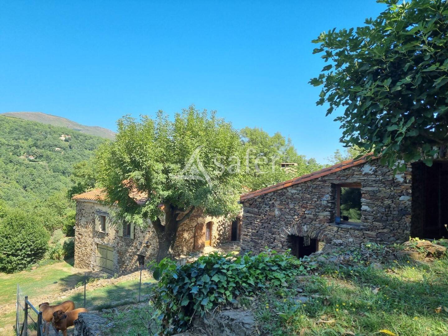 Maison à vendre, 466m², Perpignan