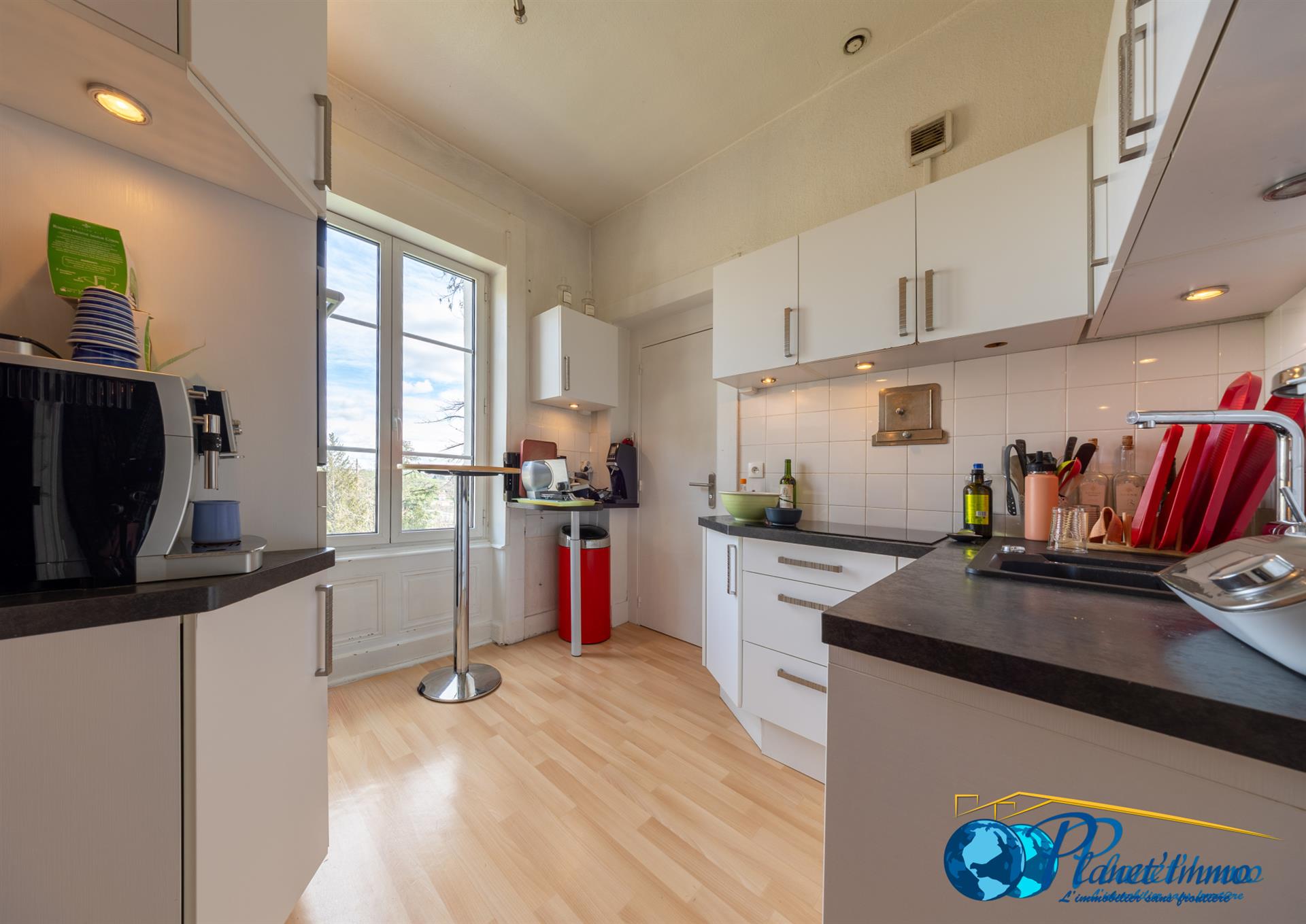 Saint-Priest-En-Jarez / Maison de Maitre of 323m2 of living space with its 1800m2 wooded park