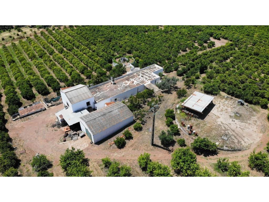 Tavira. House with 266 m2 and 14.5 ha of land, in Almargem.