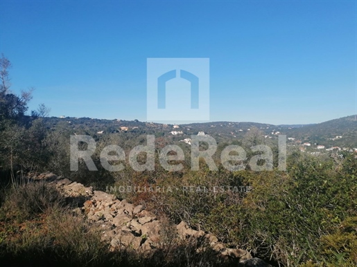 Land in a discreet location 5 minutes from Loulé with water and electricity close by
