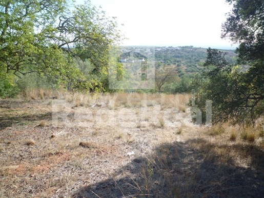 Advert picture