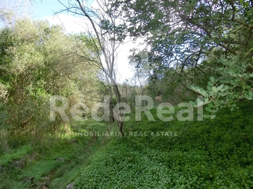 Advert picture
