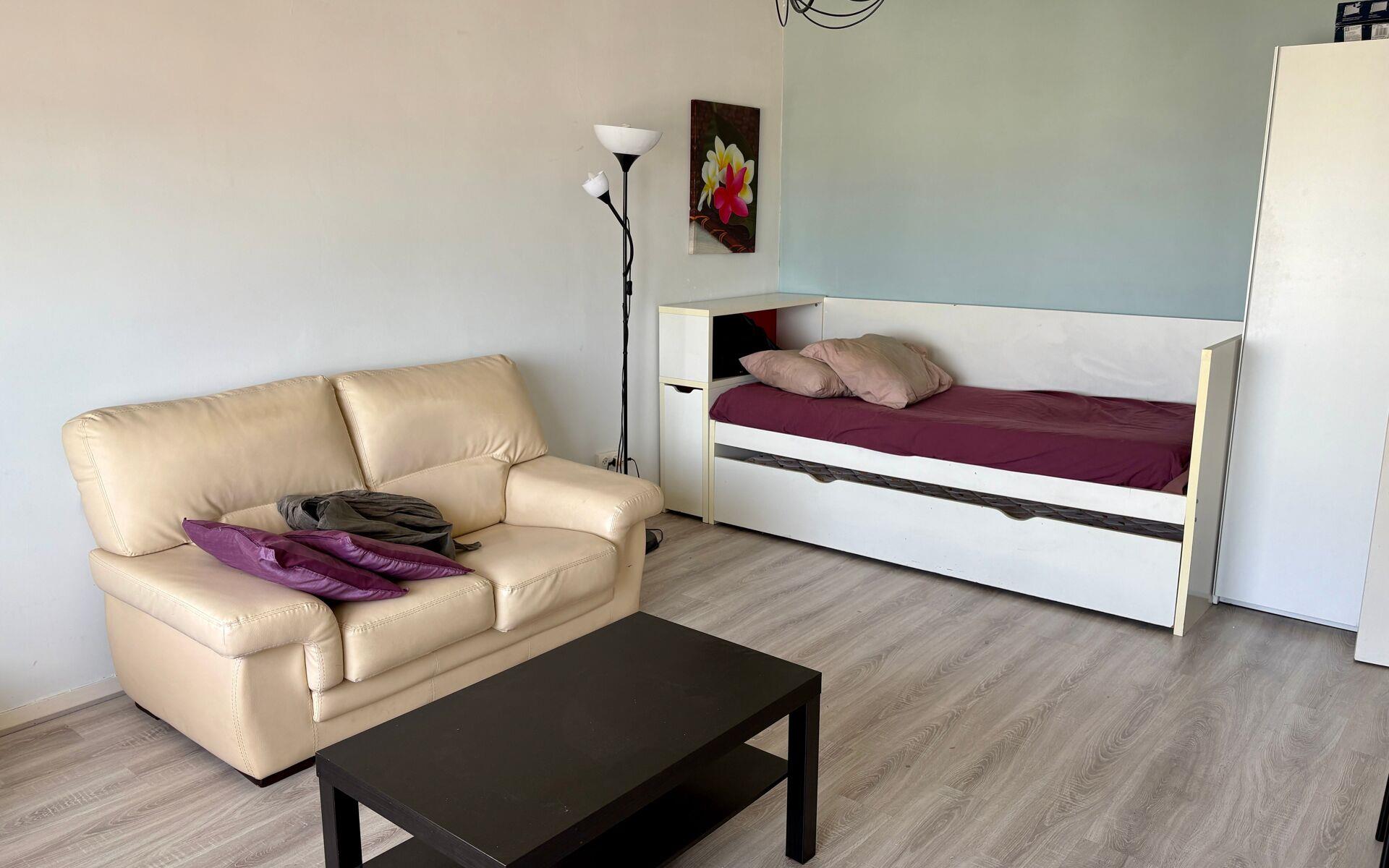 Appartement à vendre, 34m², Saint-Etienne