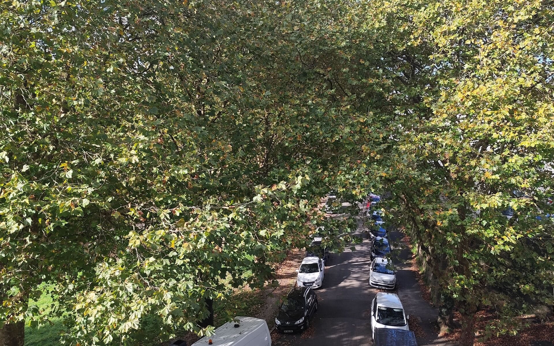 Appartement à louer, 49m², Brest