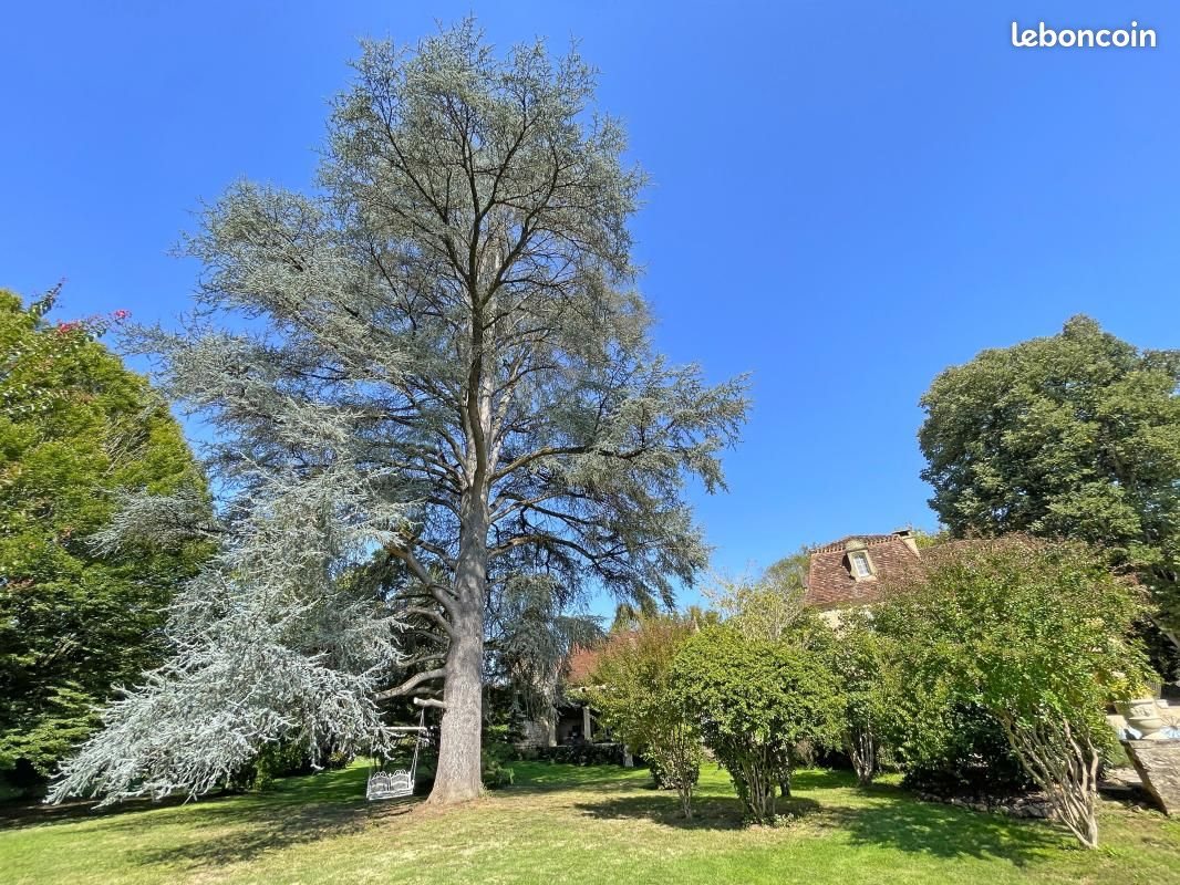 Maison à vendre, 319m², Le Bugue