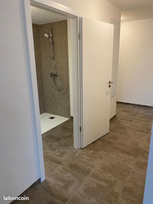Appartement à louer, 48m², Pfastatt