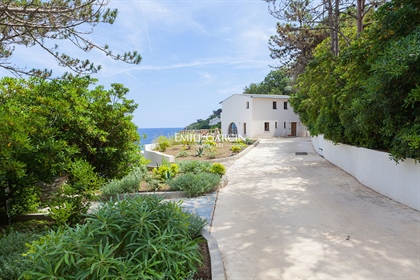 Corsica - Casa in vendita sull'acqua