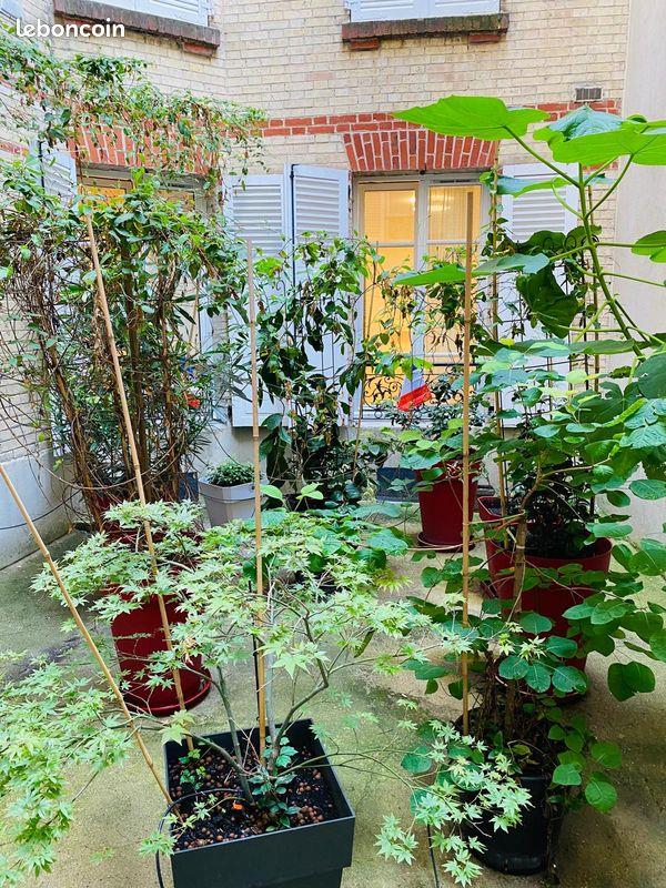 Appartement à vendre, 35m², Paris 18ème