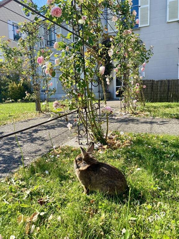 Maison à vendre, 60m², Saint-Pierre-du-Perray