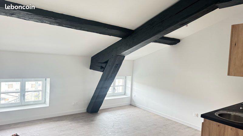 Appartement à louer, 46m², Saint-Etienne