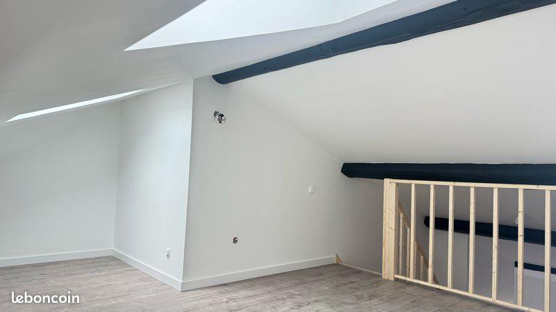 Appartement à louer, 46m², Saint-Etienne