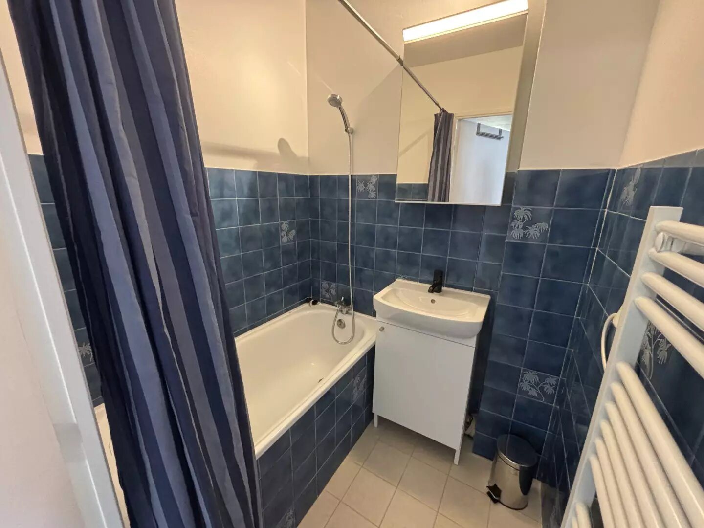 Appartement à louer, 31m², Saint-Etienne