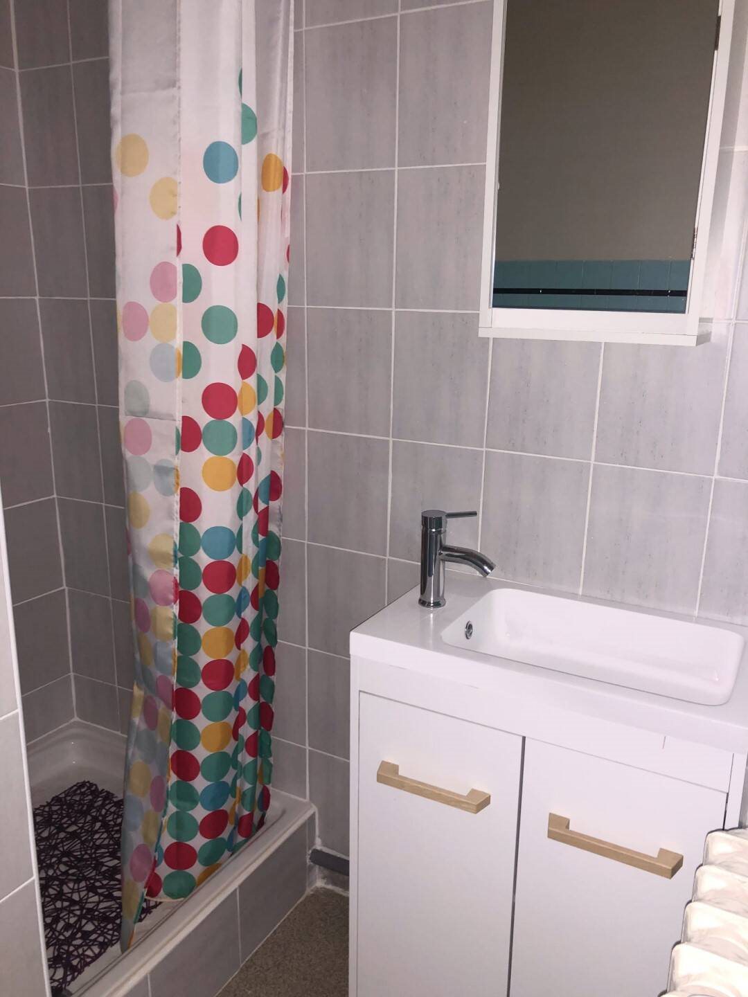 Appartement à louer, 31m², Saint-Etienne