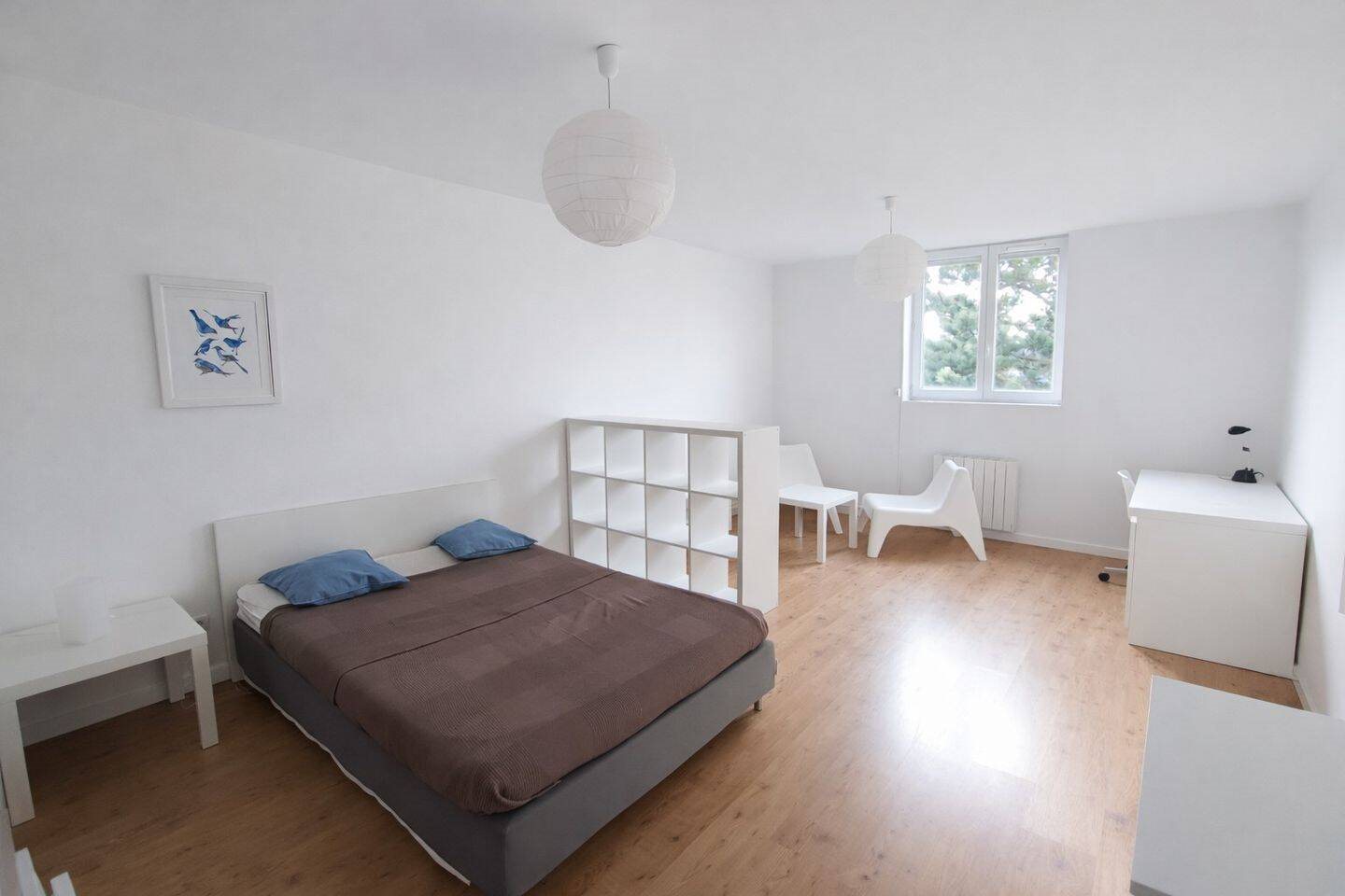 Appartement à louer, 40m², Saint-Etienne