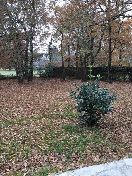 Maison à louer, 132m², Saint-Sulpice-et-Cameyrac