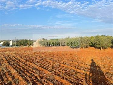 Lcimmobili | Trullo Con Terreno In Vendita In Valle D’ Itria Rif. Tr 2