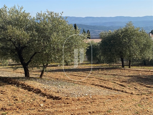 מכירה: מגרש (84490)