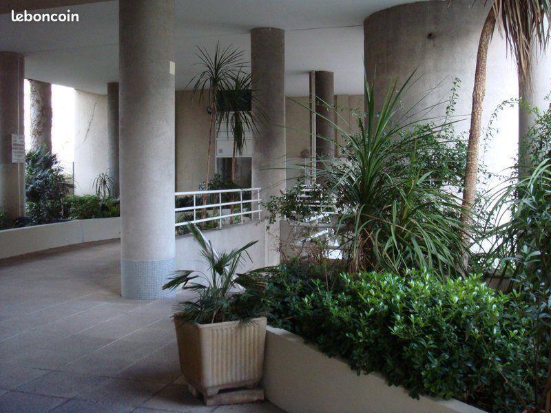 Appartement à louer, 27m², Marseille 8ème