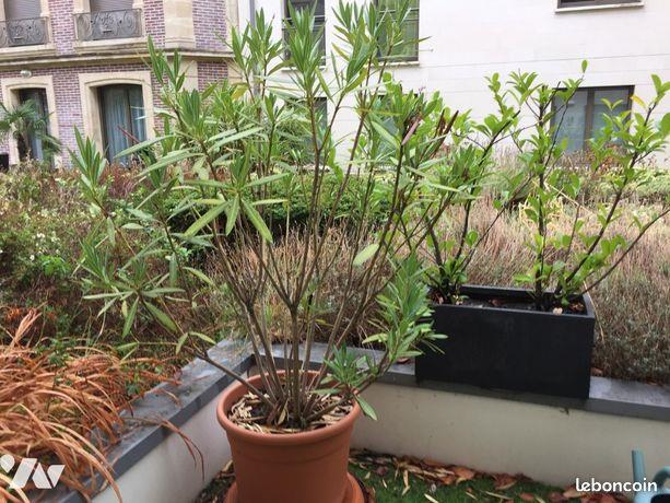 Appartement à louer, 77m², Rouen