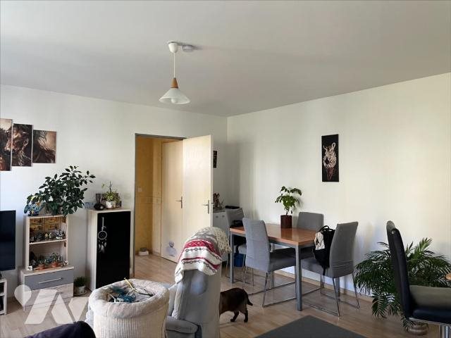 Appartement à louer, 50m², Le Rheu
