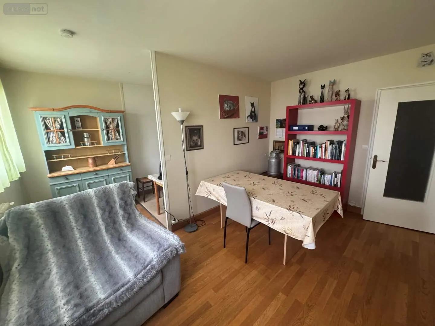 Appartement à vendre, 46m², Tours