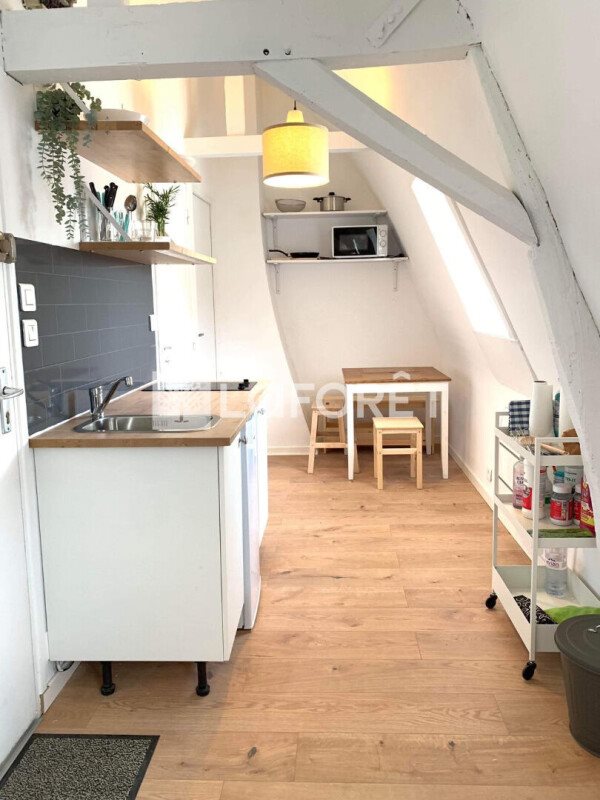 Appartement à louer, 30m², Lille