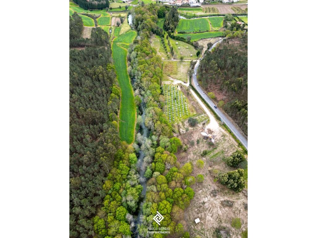 Aankoop: Terrein (4905)
