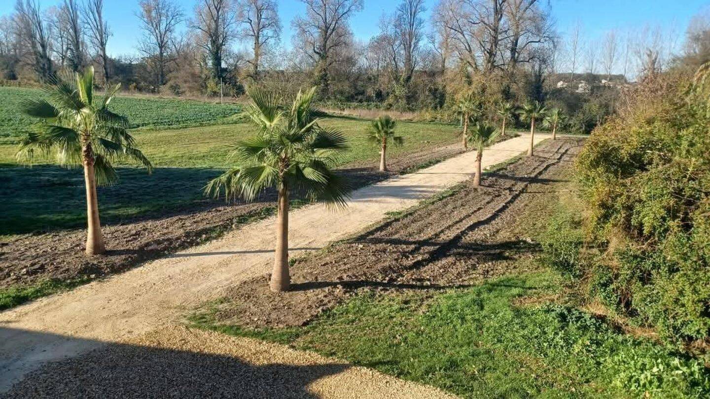 Appartement à vendre, 457m², Cierzac