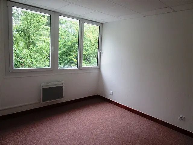Appartement à louer, 41m², Sassenage