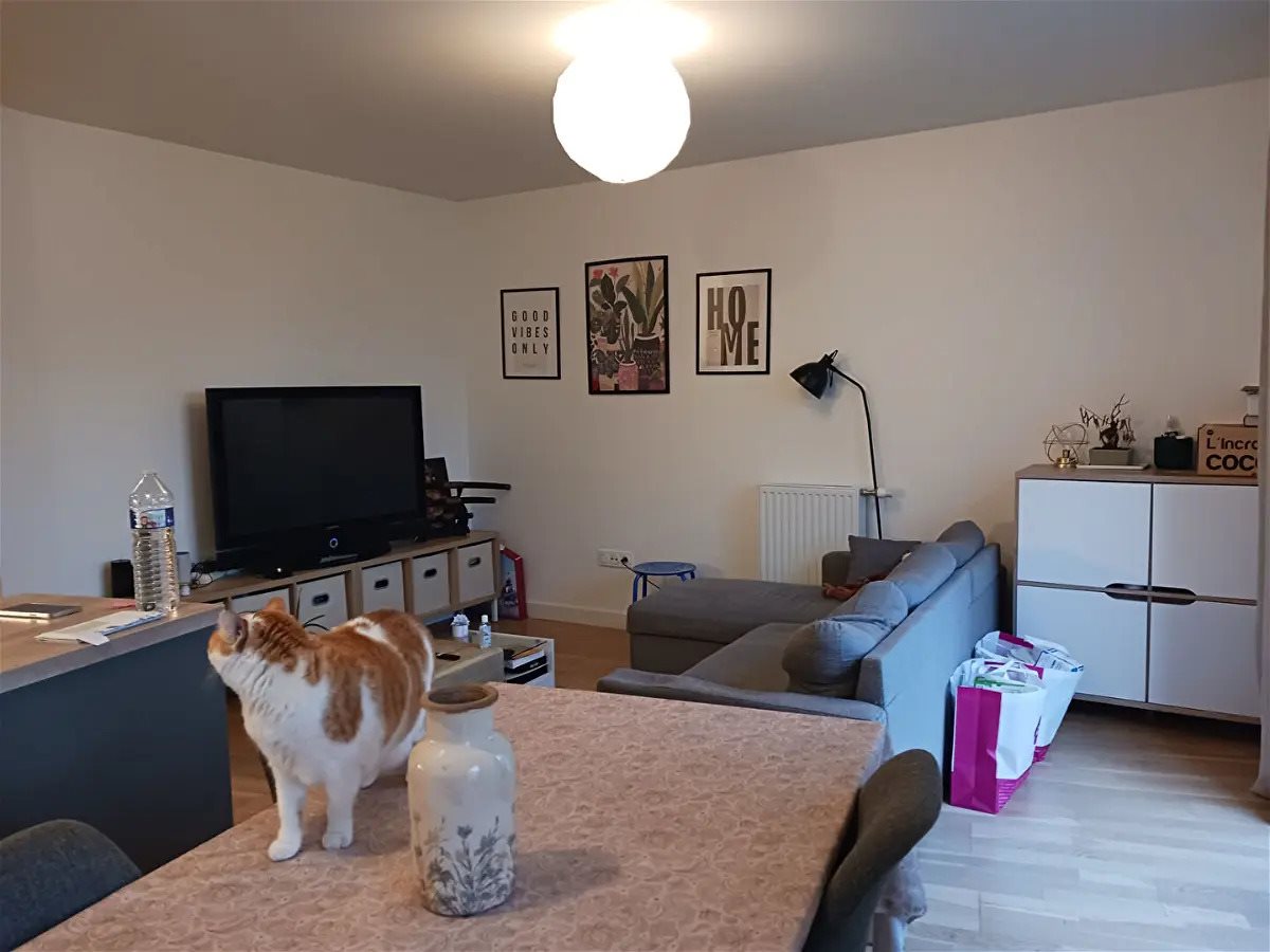 Appartement à louer, 71m², Le Mans