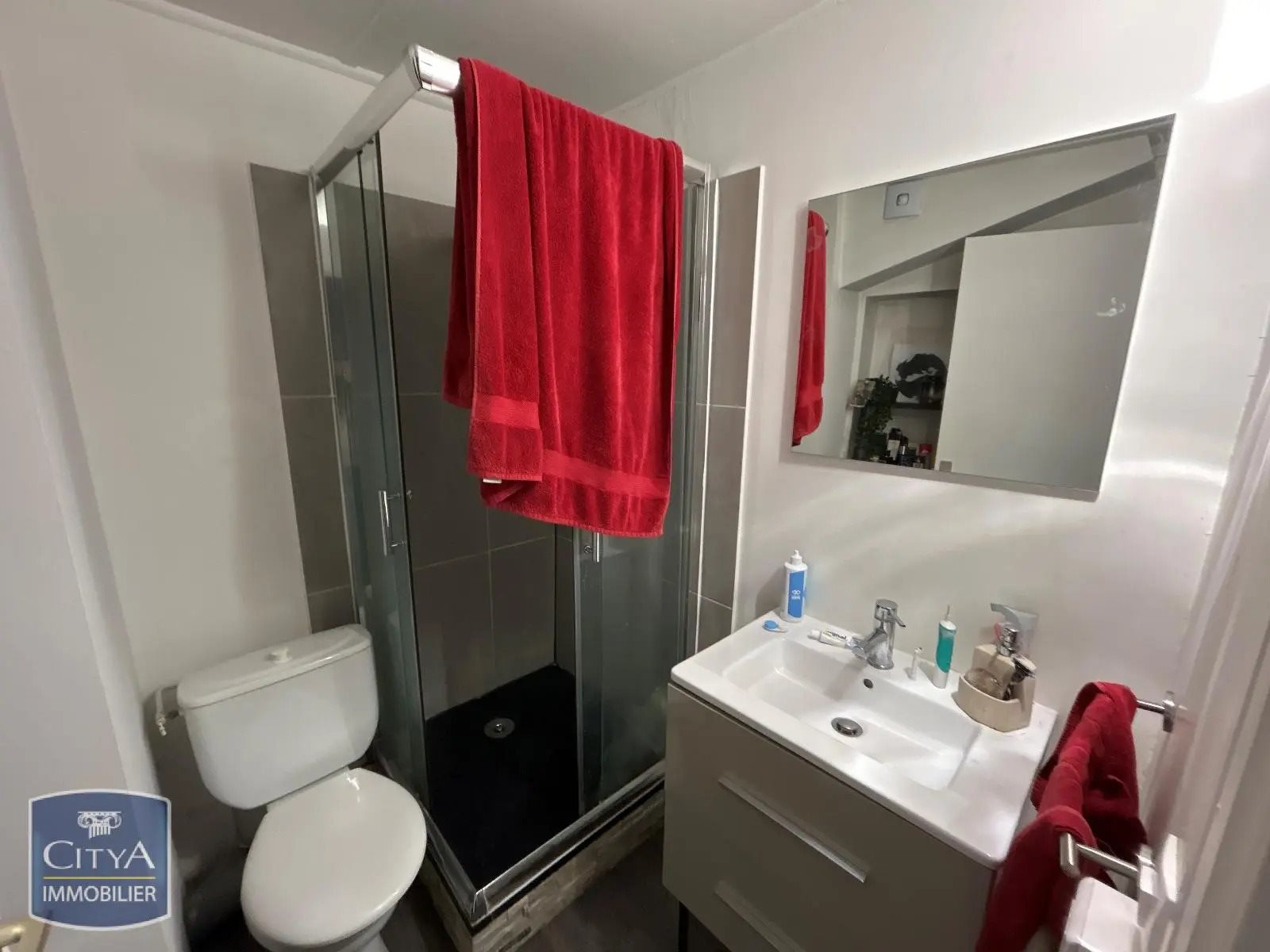 Appartement à louer, 42m², Saint-Etienne