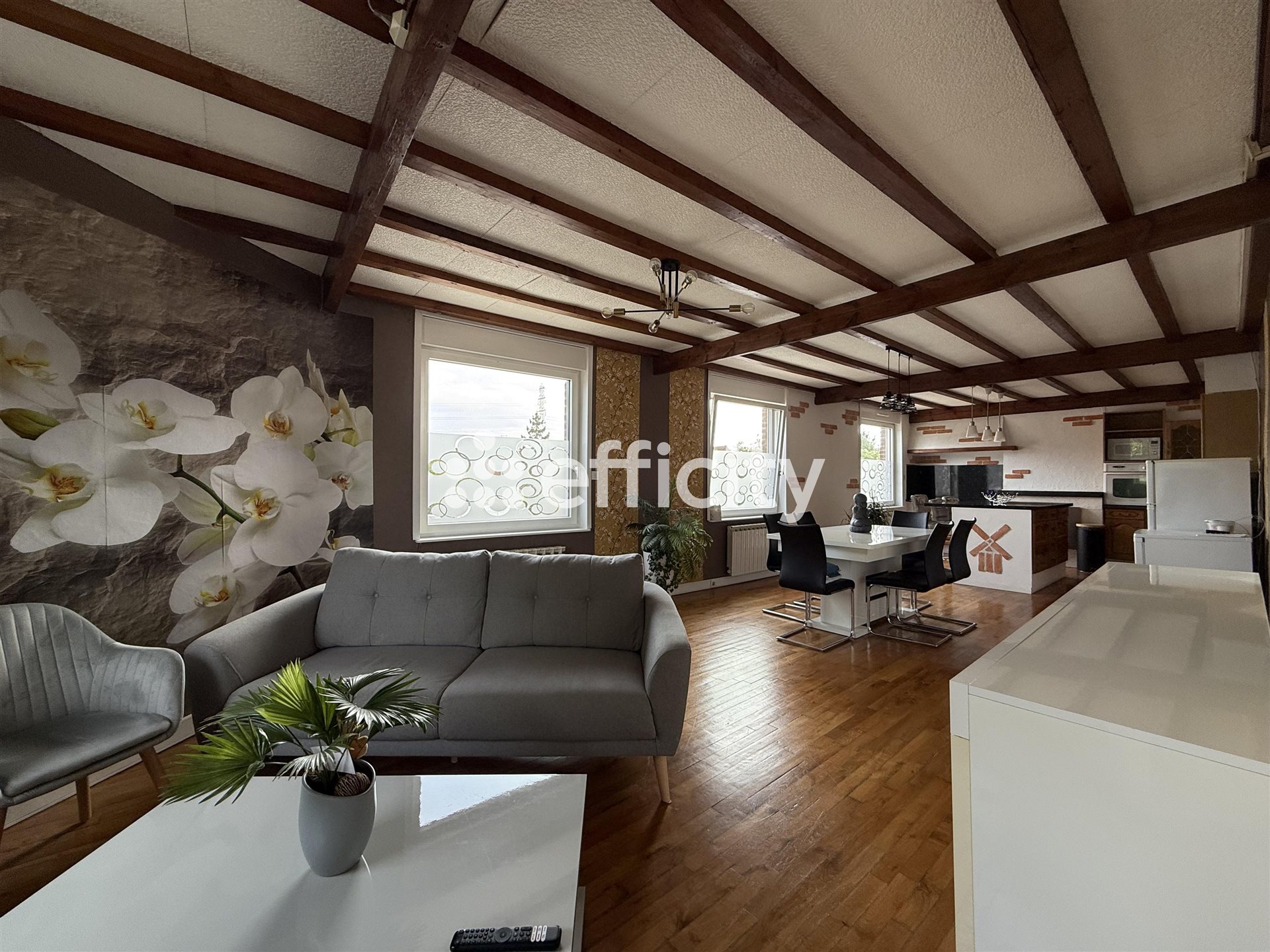 Appartement à vendre, 250m², Prémesques