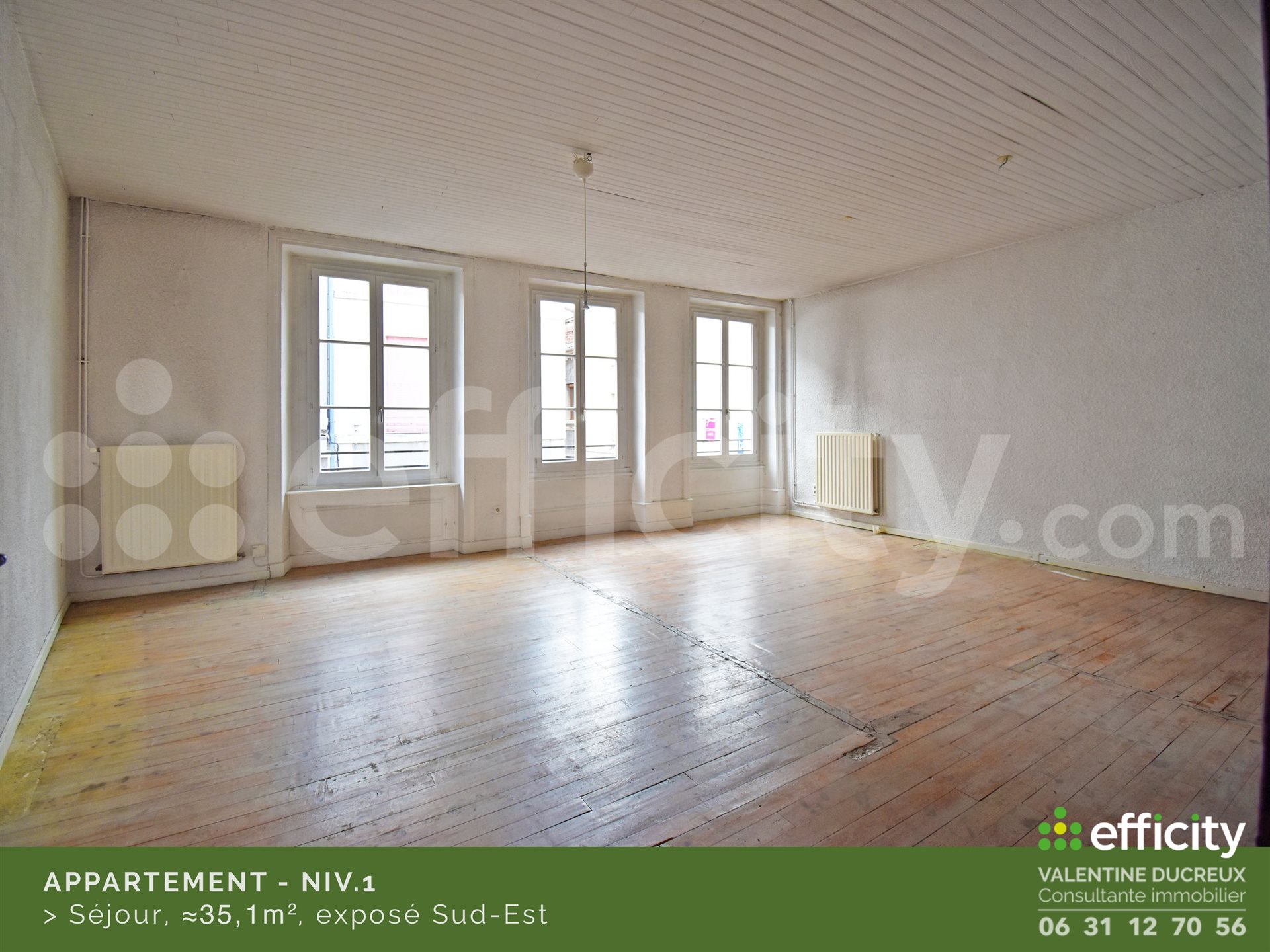 Appartement à vendre, 94m², Chazelles-sur-Lyon