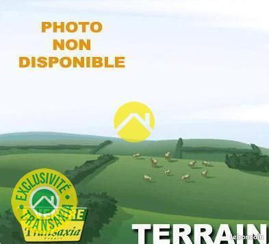 Advert pic 0
