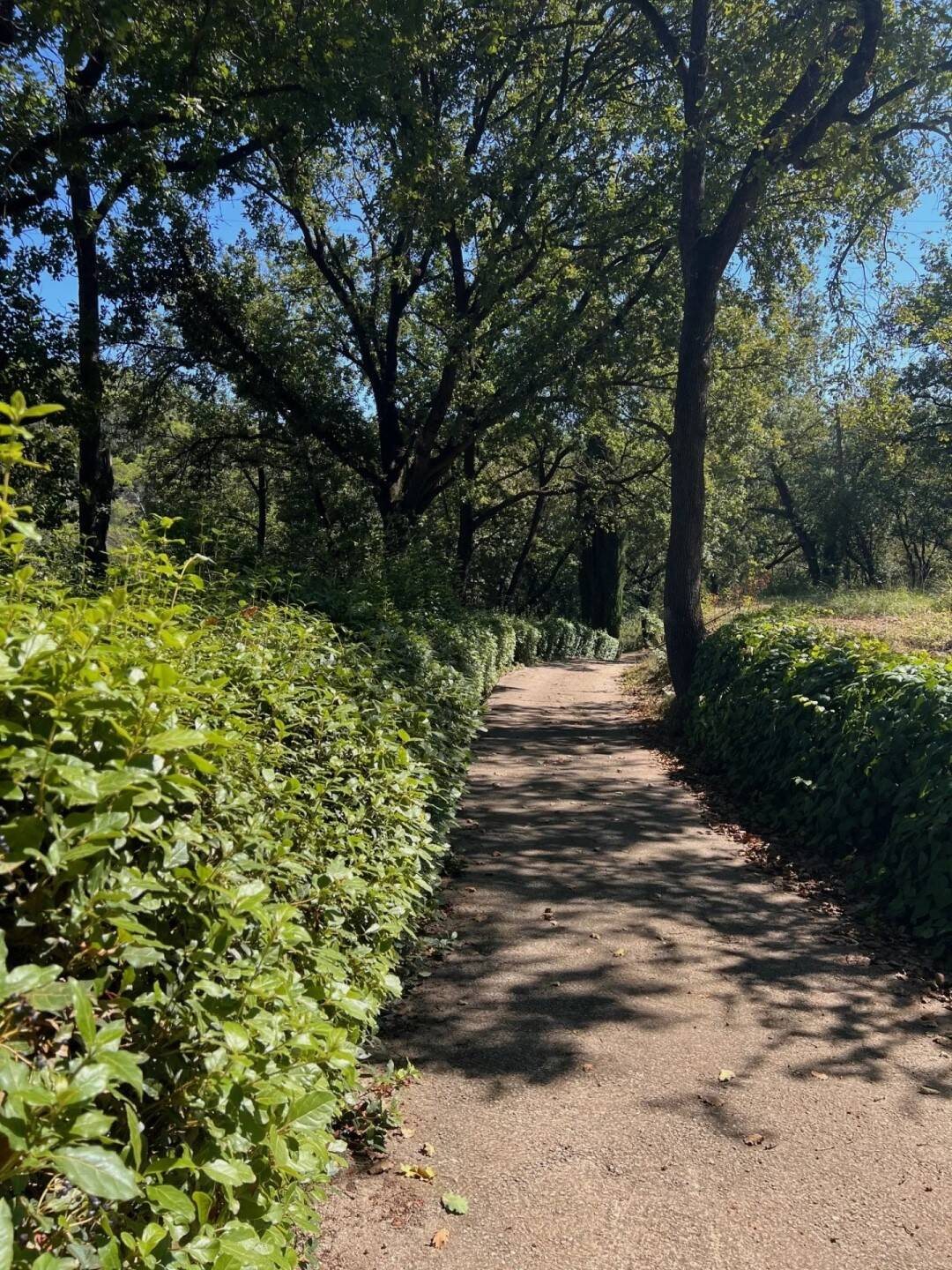 Maison à louer, 140m², Contes