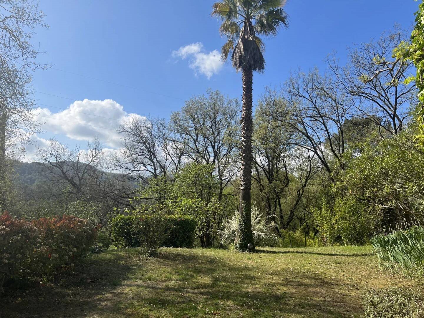 Maison à louer, 140m², Contes