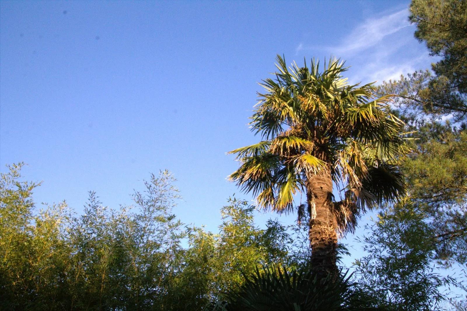 Maison à vendre, 133m², Nantes