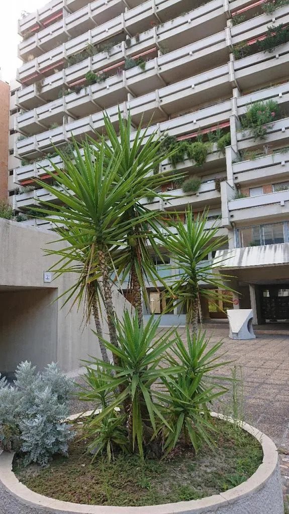 Appartement à louer, 32m², Toulouse