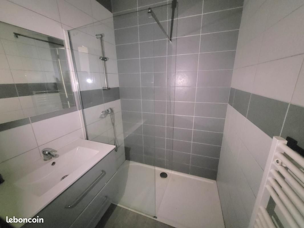 Appartement à louer, 59m², Saint-Etienne