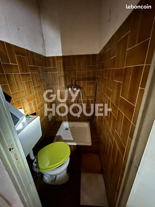 Appartement à vendre, 13m², Lyon 1er